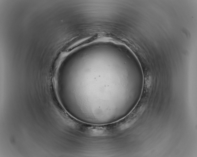 X0000112720359200908201253