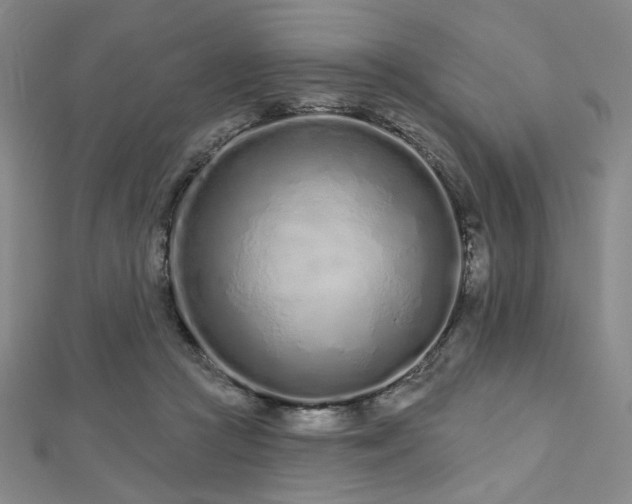 X0000112720361200908201253
