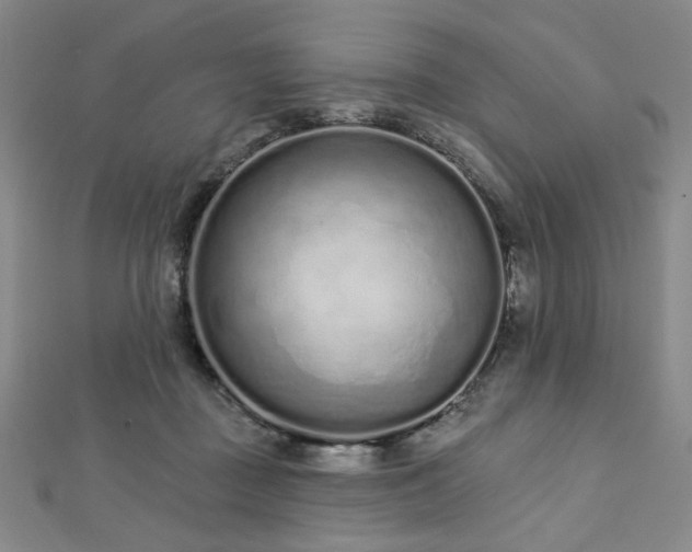 X0000112720363200908201253