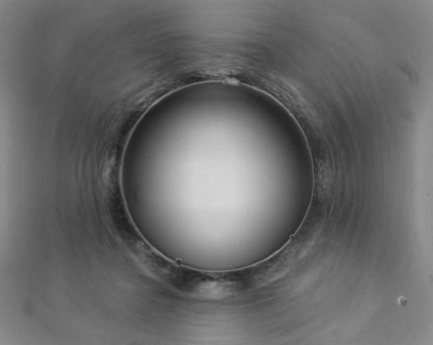 X0000112720364200908201253