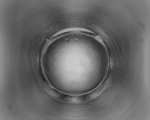 X0000112720365200908201253