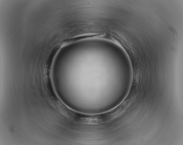 X0000112720366200908201253