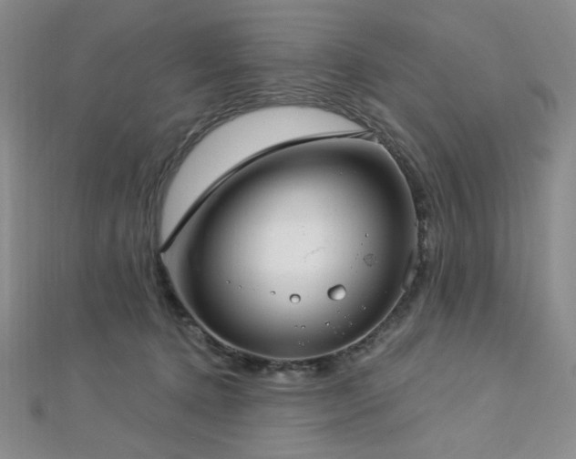 X0000112720368200908201253