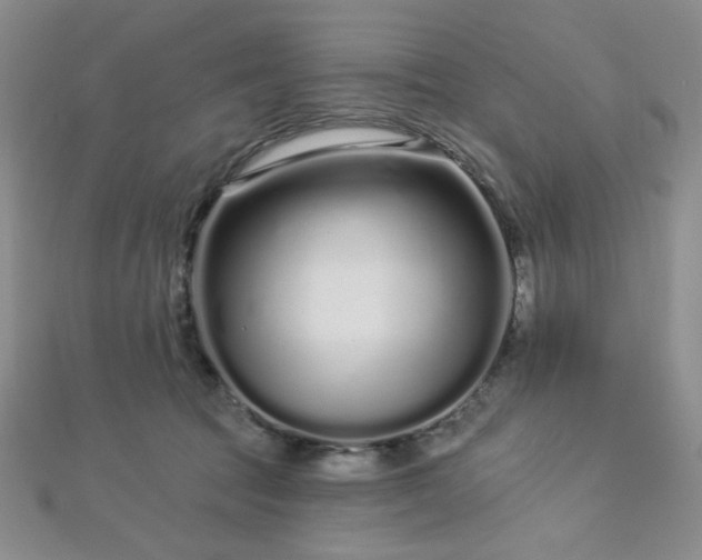 X0000112720369200908201253
