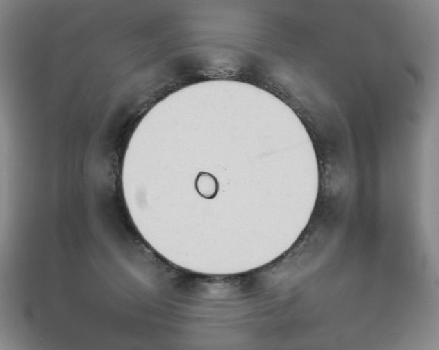 X0000112720370200908201253