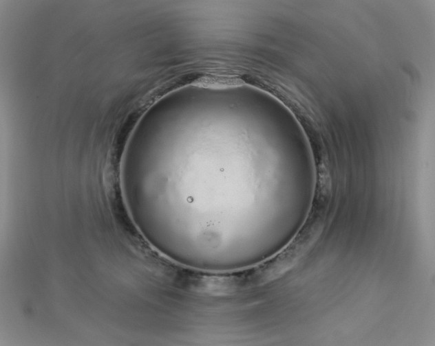 X0000112720371200908201253