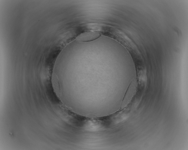 X0000112720372200908201253