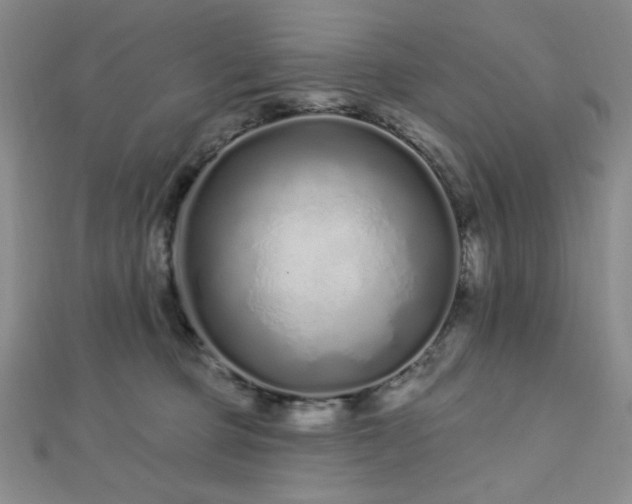 X0000112720373200908201253