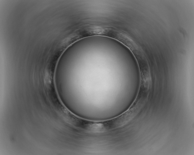 X0000112720374200908201253