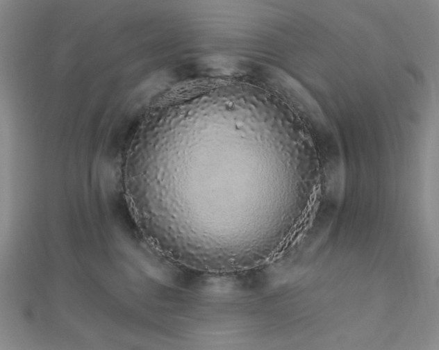 X0000112720376200908201253