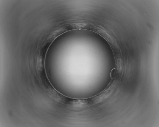 X0000112720378200908201253