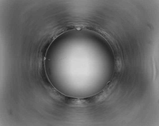 X0000112720379200908201253