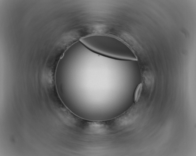 X0000112720380200908201253