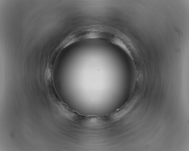 X0000112720382200908201253