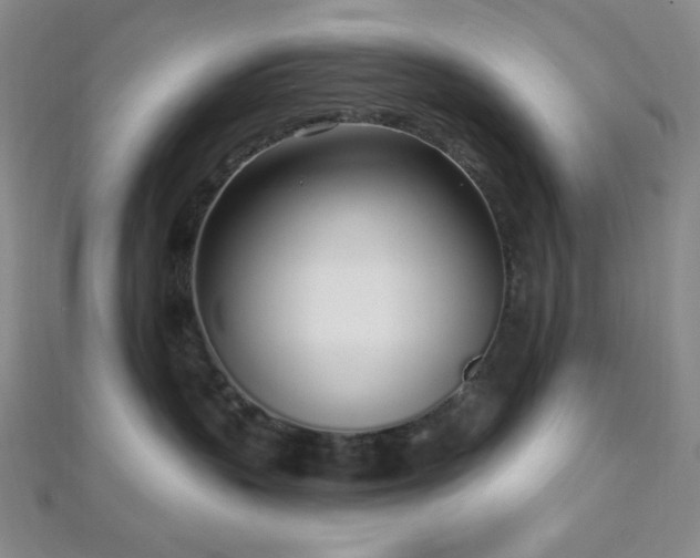 X0000112720383200908201253