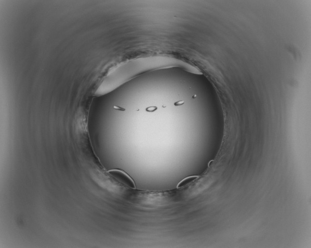X0000112720384200908201253