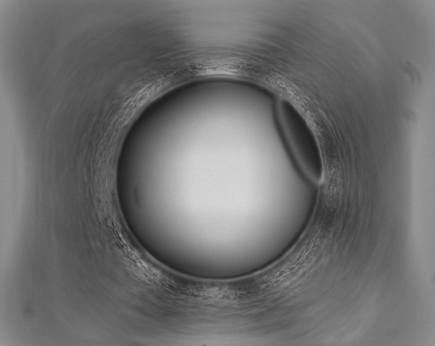 X0000112720385200908201252