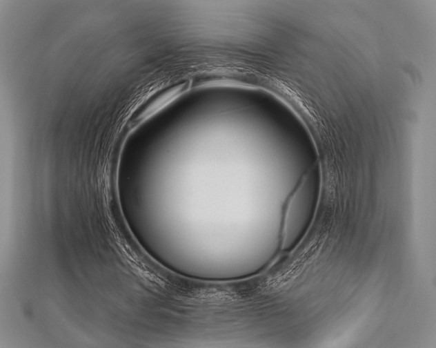 X0000112720386200908201252