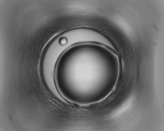 X0000112720387200908201252