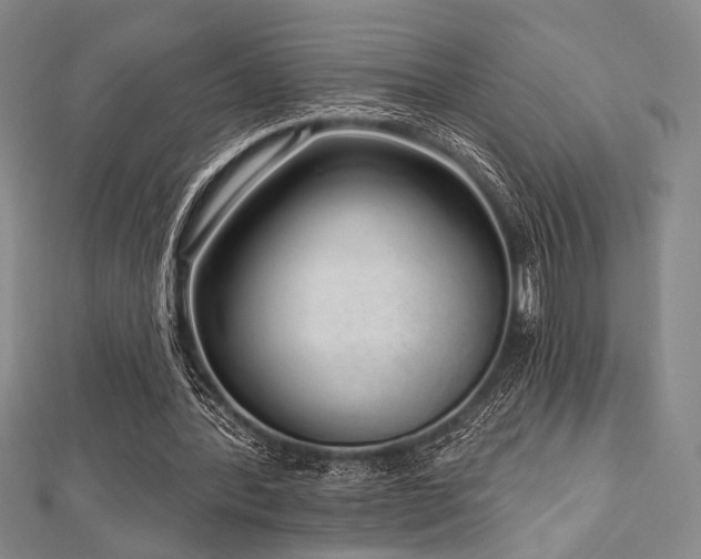 X0000112720388200908201252