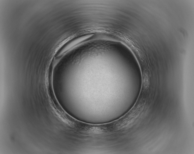 X0000112720390200908201252