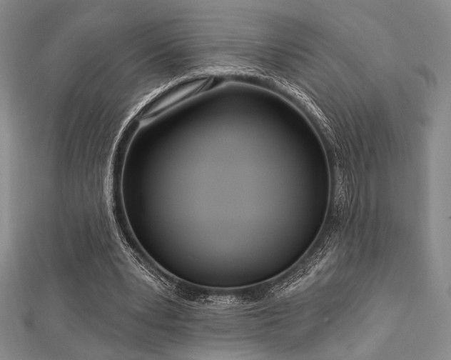 X0000112720391200908201252