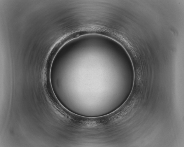 X0000112720392200908201252
