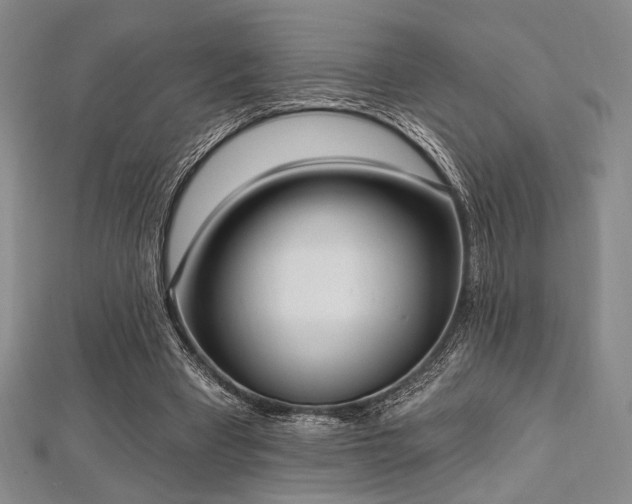 X0000112720393200908201252