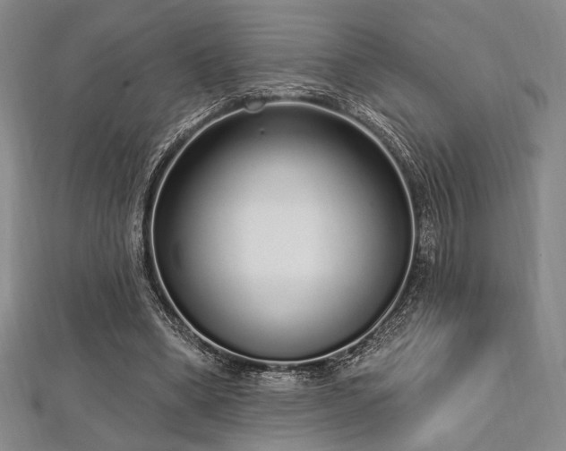 X0000112720394200908201252