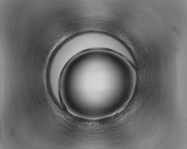 X0000112720395200908201252
