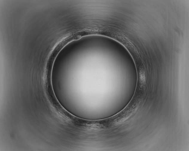 X0000112720396200908201252