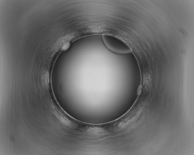 X0000112720397200908201252