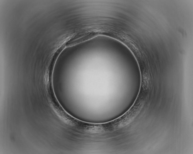 X0000112720398200908201252