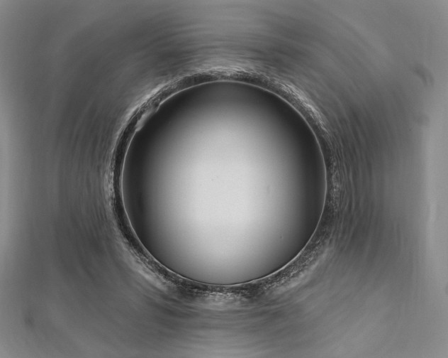 X0000112720399200908201252