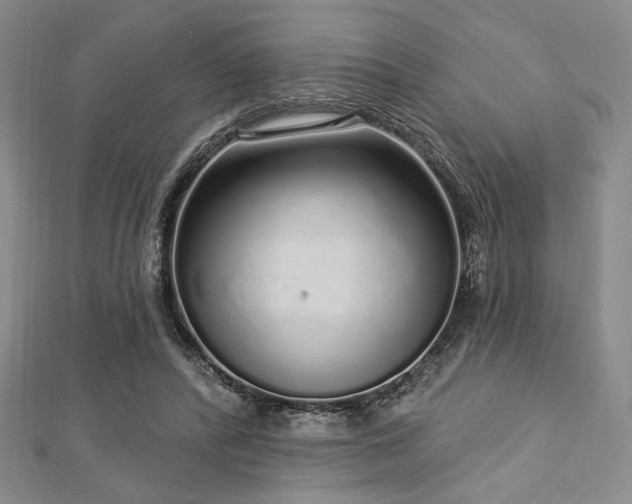 X0000112720400200908201252