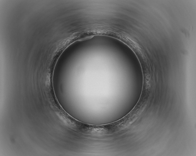 X0000112720401200908201252