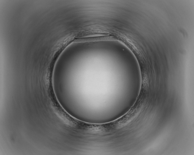 X0000112720402200908201252