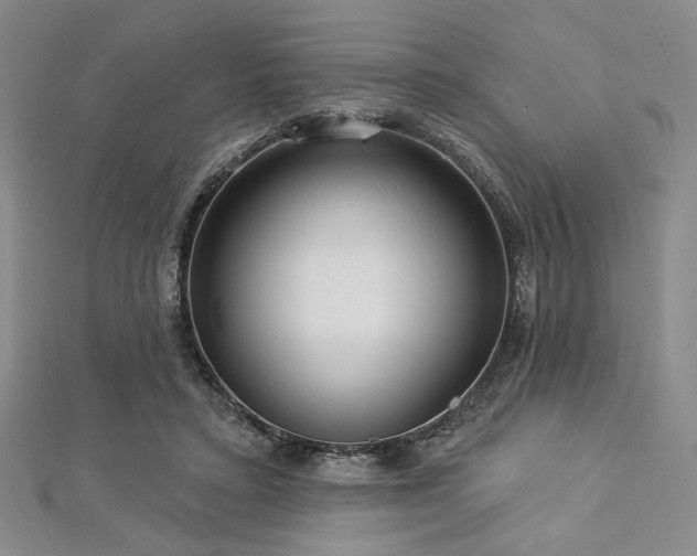 X0000112720403200908201252
