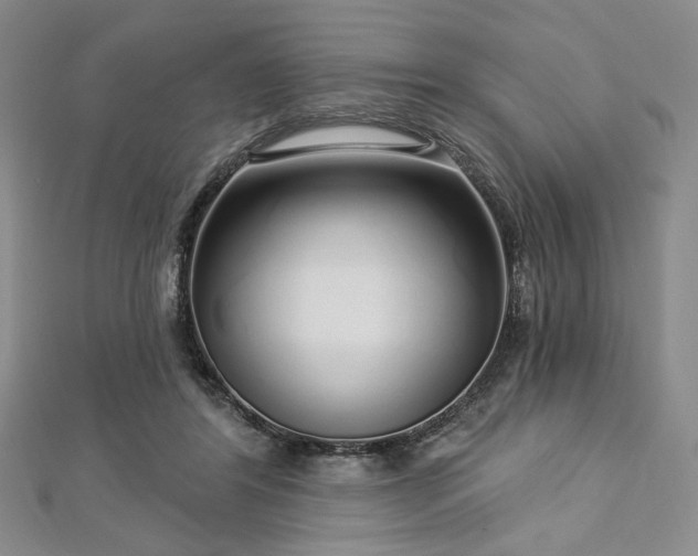 X0000112720404200908201252