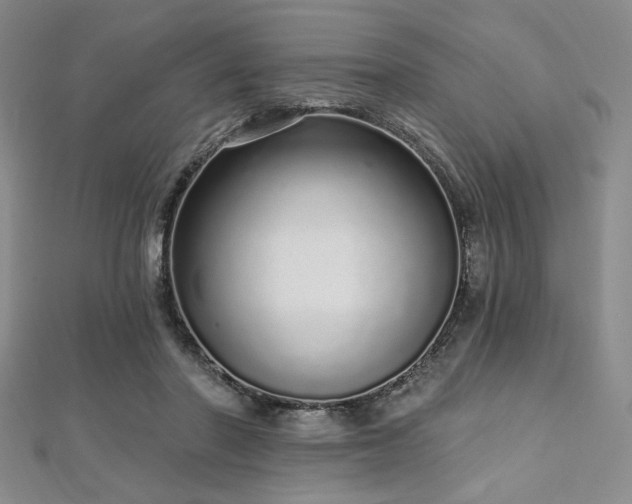 X0000112720406200908201252