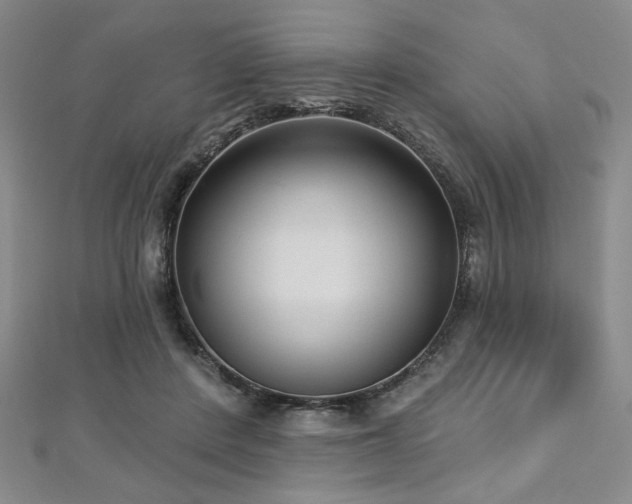 X0000112720408200908201252