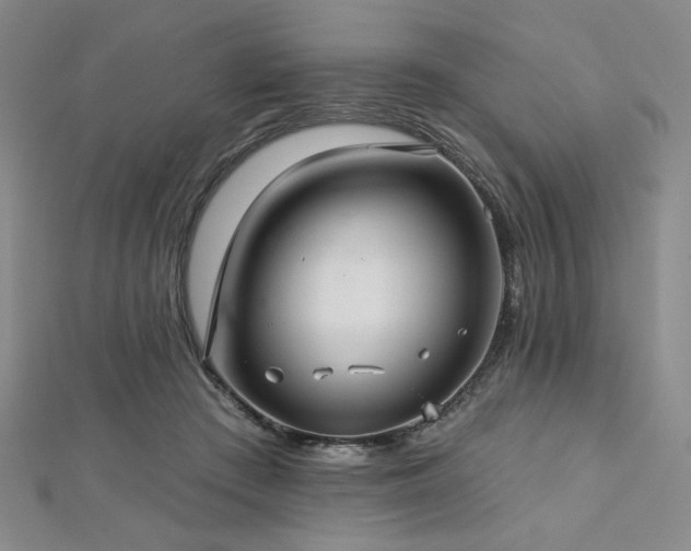 X0000112720409200908201252
