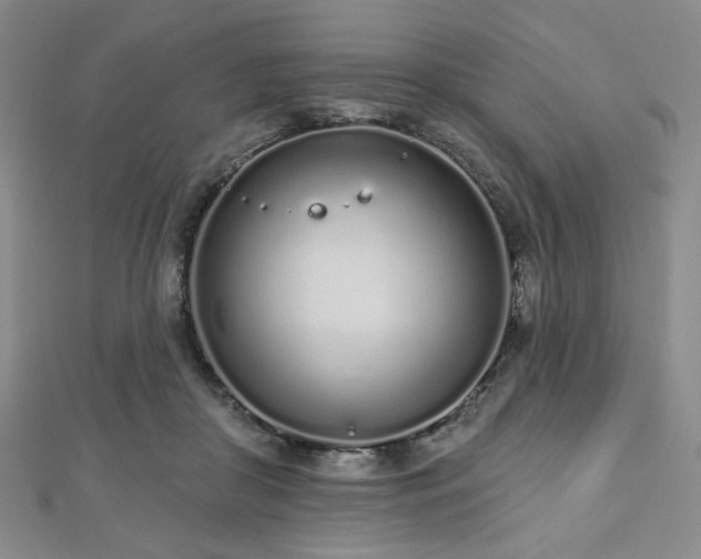 X0000112720410200908201252
