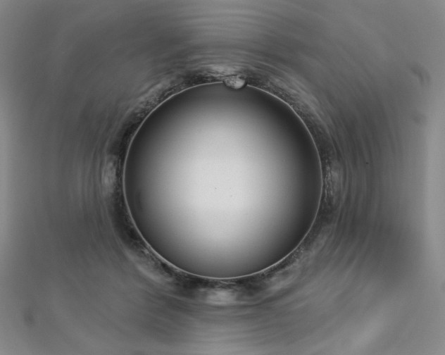 X0000112720412200908201252