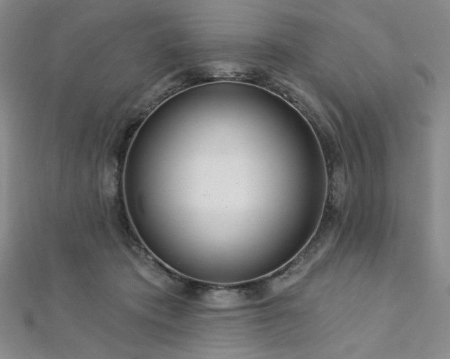 X0000112720413200908201252