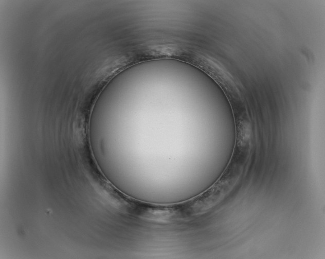X0000112720414200908201252