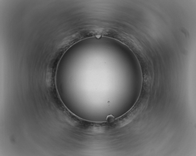 X0000112720416200908201252