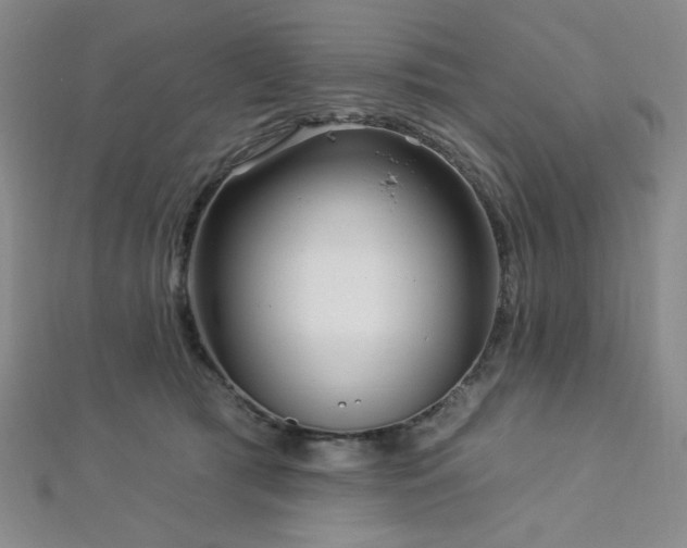 X0000112720417200908201252