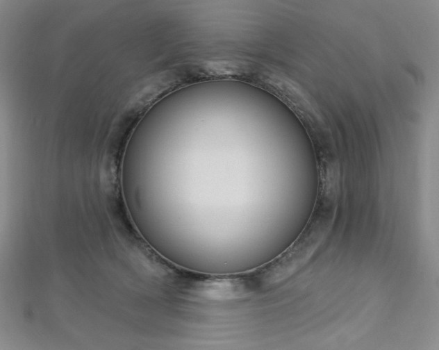 X0000112720418200908201252