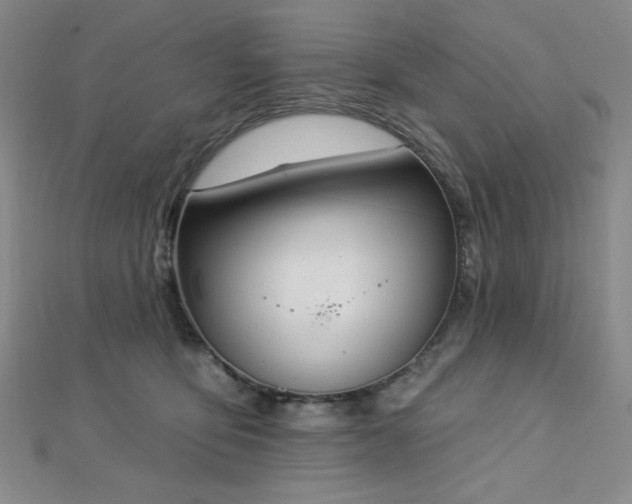 X0000112720419200908201252